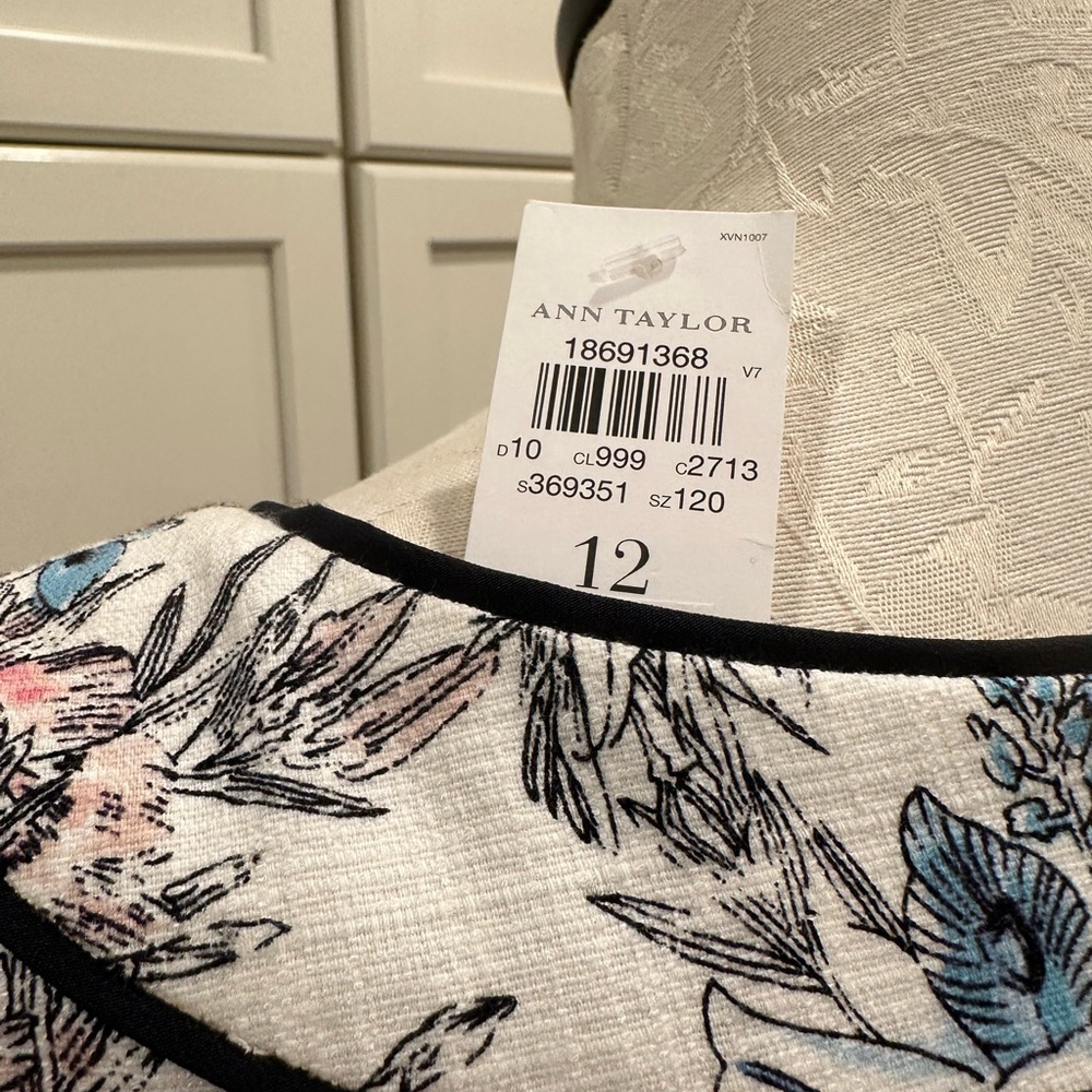 Ann Taylor Dress